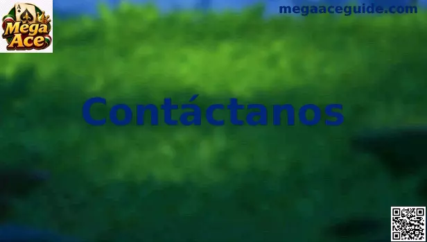 Contacto de Mega Ace México para soporte y orientación responsable