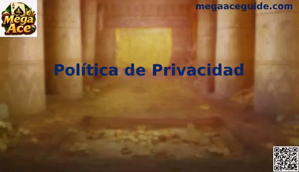 Privacidad y protección de datos de Mega Ace para usuarios en México