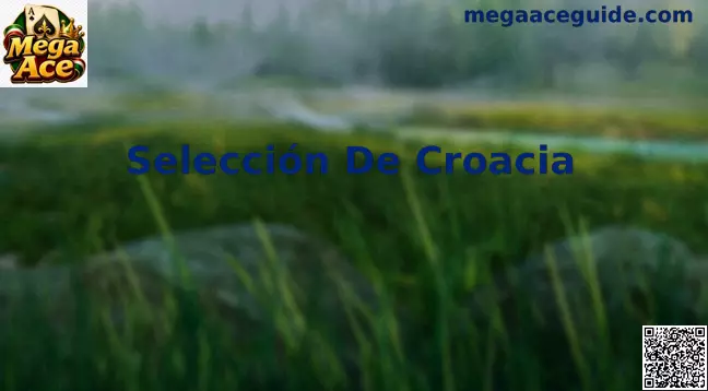 Selección de fútbol de Croacia en el terreno de juego