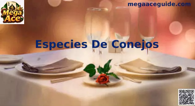 Especies de conejos en México