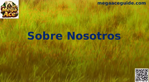 Imagen sobre Mega Ace